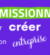 microcrédit, France Initiative, micro-crédit