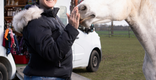 sellerie ambulante - équipements chevaux 