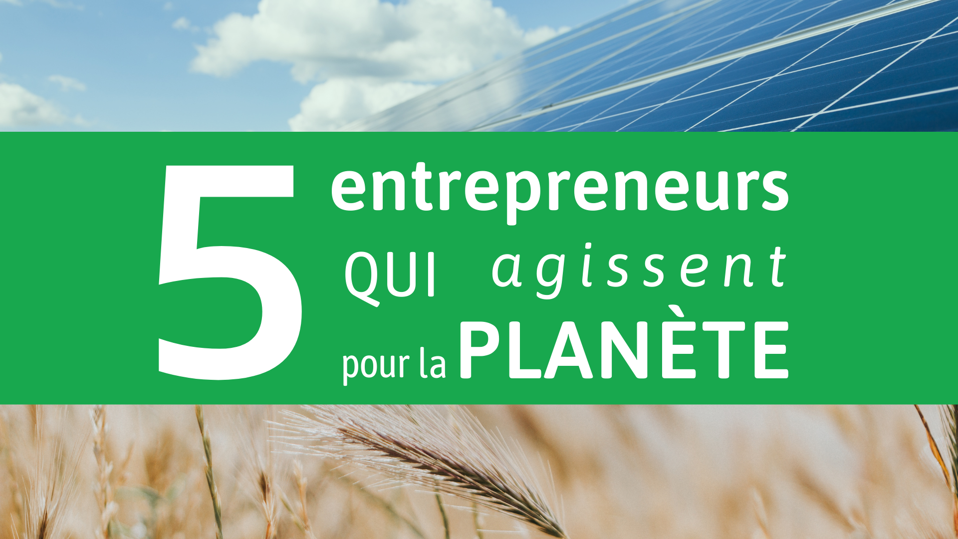 réseau Initiative, création, entrepreneur, plateforme, parrainage